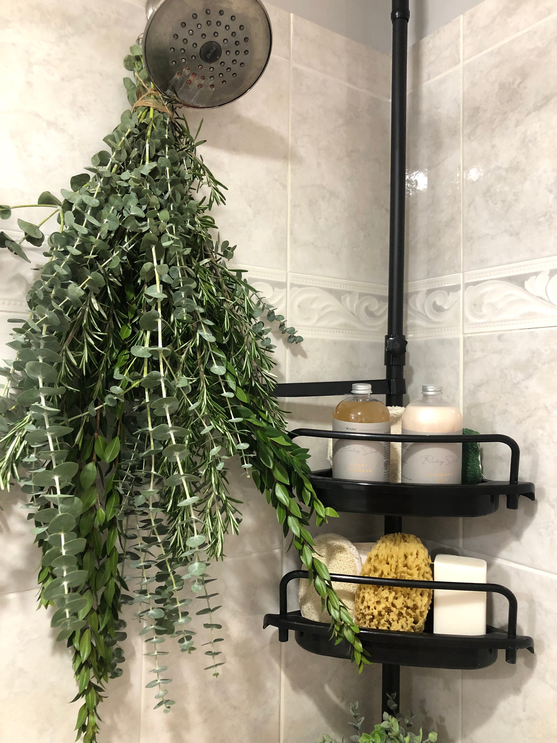 The best shower caddy for the eucalyptus shower trend
